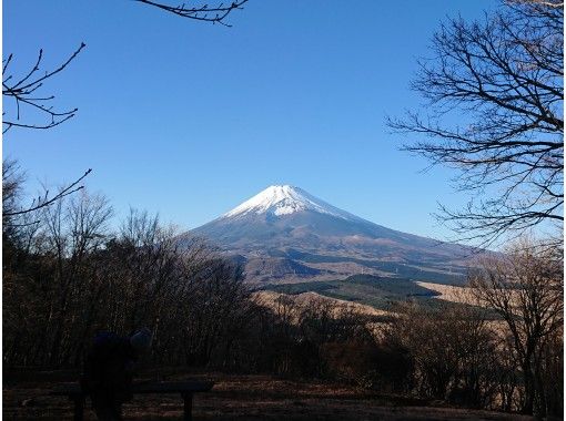 【静岡】でっかい富士山ひとりじめ！愛鷹山・黒岳トレッキングの画像