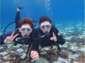 2025年4月度Google口コミ数「沖縄ダイビング」1位！那覇発・半日慶良間諸島・4名以上限定！海ガメに逢える!?カメラ付！体験ダイビング