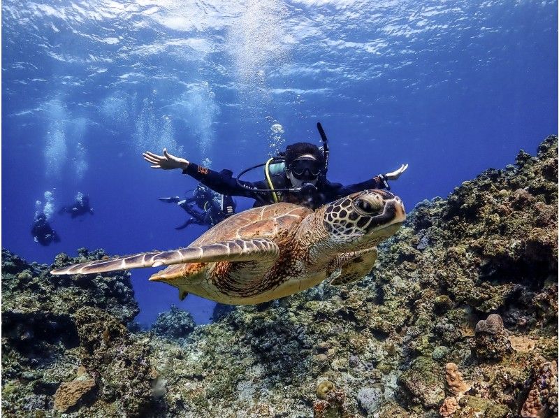 amusementworld＋の割引プラン