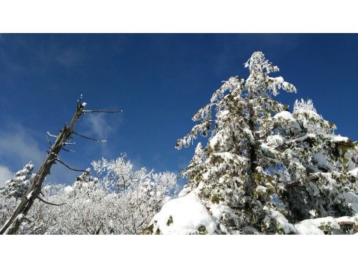 【岐阜・高山】位山経験者向き！位山をスノーシューで１日満喫～山岳ガイドの案内・送迎付き！の画像