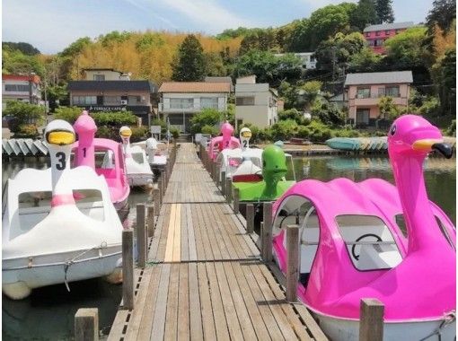 [静岡/伊東]一邊欣賞一吹湖的岸邊，一邊放鬆身心！腳踏船租賃（30分鐘）の画像