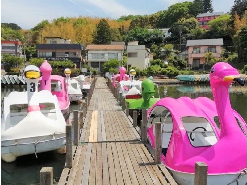 [Shizuoka / Ito] Relaxing experience while looking at the shores of Lake Ippuki! Pedal boat Rental (30 minutes)の紹介画像