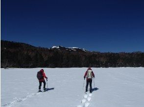 八岳自然巡遊