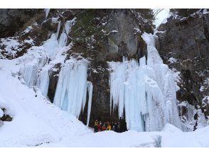 Nikko Nature Museum Co., Ltd.