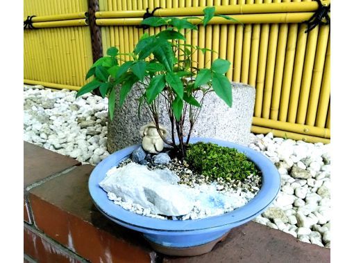 【新宿で盆栽☆12%OFF 】はじめての方を対象にした苔盆栽｢お地蔵さんもいる盆栽風景｣講座の画像