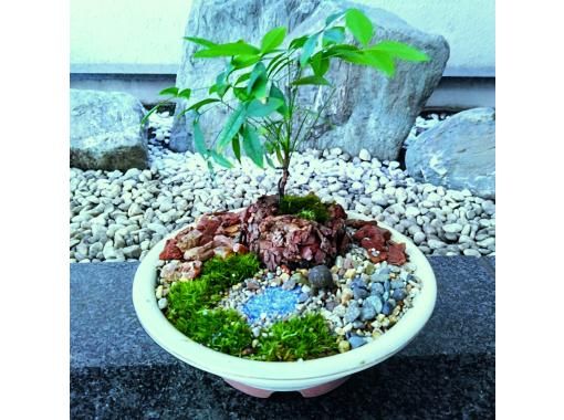 東京のガーデニング体験の格安予約 【アクティビティジャパン｜日帰り