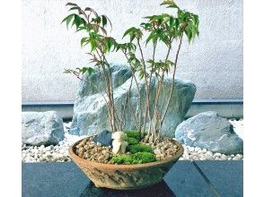 はじめての苔盆栽づくり☆お地蔵さんのいる風景の画像