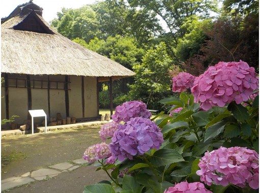 【東京・府中】6/21（日）開催！紫陽花ウォーク＆古民家ヨガ体験の画像