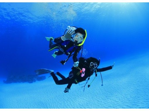 [Tokyo / Shibuya] PADI Open Water Getting licenses! Trial courseの画像