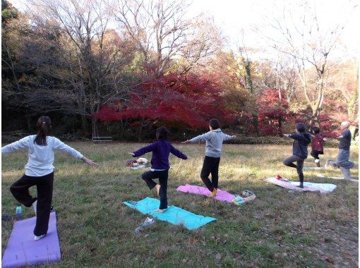 【東京・西武園】11/29（日）開催！紅葉ヨガ＆トトロの森ウォーキングの画像