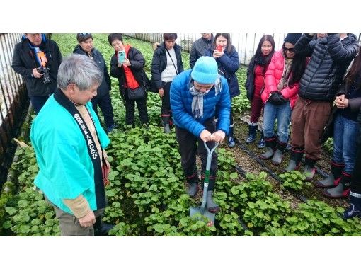 酒田 鶴岡 温海のオプショナルツアー アクティビティ 遊びの体験予約 日本旅行