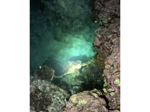 【奄美大島】伝統漁・夜の海でいざり見学ツアーの画像