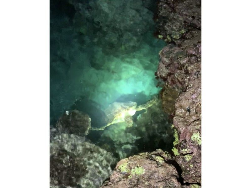 【奄美大島】伝統漁・夜の海でいざり見学ツアーの紹介画像