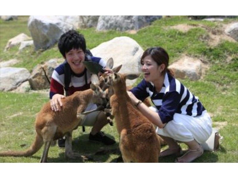 [เฮียวโกะ / โกเบ] Kobe Animal Kingdom! ตั๋วเข้าชมลดราคาสุดคุ้มの紹介画像