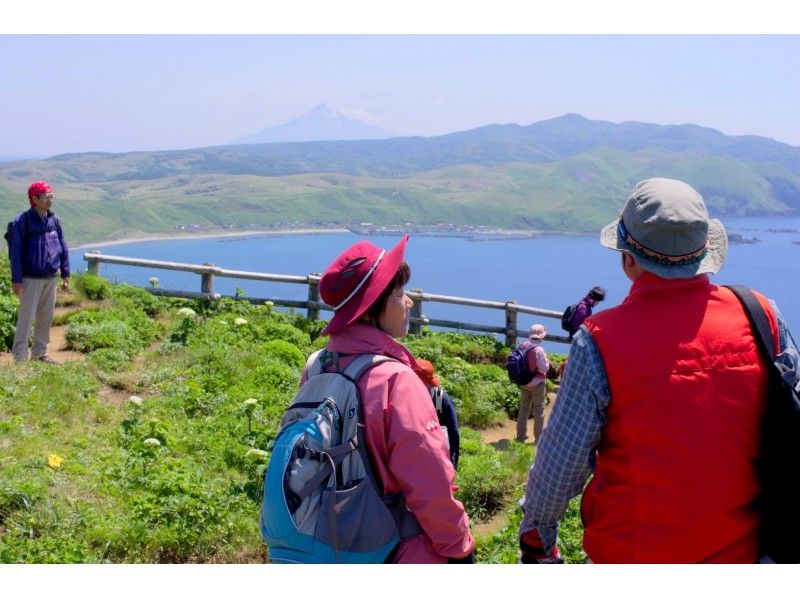 礼文島 ガイドおすすめコース プライベートガイドツアー 半日コース アクティビティジャパン