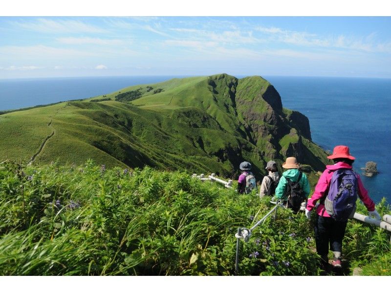 礼文島 桃岩展望台コーストレッキング プライベートガイドツアー アクティビティジャパン