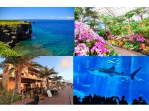 HipHopBus [那霸/北谷出发] 冲绳美丽海水族馆＆热带梦幻中心、万座岬、备濑福木大道、美滨美国村（B-1路线）の画像