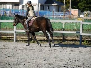 Horseback riding classroom-handy experience course [triple-riding experience in the Hokusei]