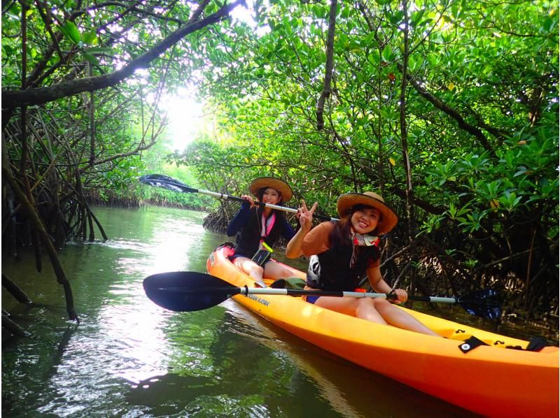 [Okinawa, Ishigaki Island] Reservations accepted up until 12:00 on the day! Small group ☆ Mangrove kayak jungle exploration ☆ 1.5 hour local meeting planの紹介画像