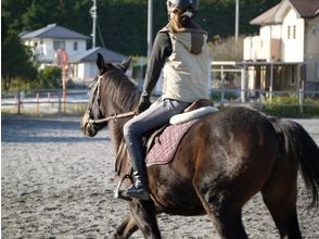 Horseback riding classroom-full-scale introductory course [triple-riding experience in the Hokusei]