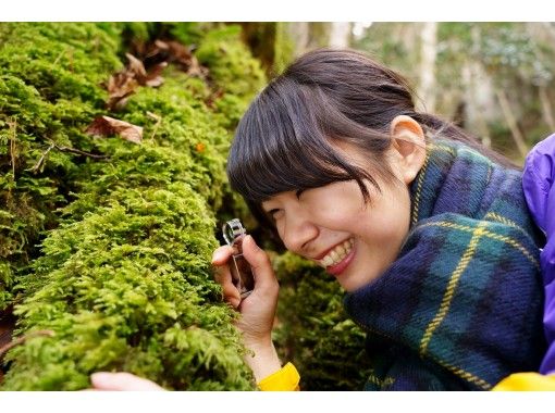 コケの聖地 赤目渓谷 ガイドと歩くワクワク苔さんぽ アクティビティジャパン