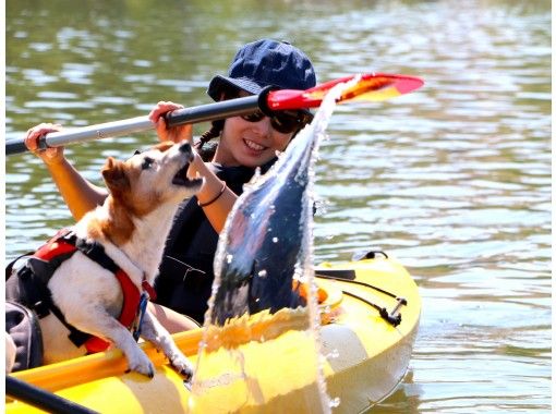 [Together with the dog] Nature enjoyment, Lake Shirakaba Nature Canoe Tourの画像