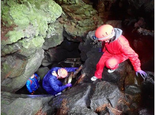 スーパーサマーセール2024【富士山/河口湖】【洞窟探検ツアー】神秘の森と氷の洞窟の画像