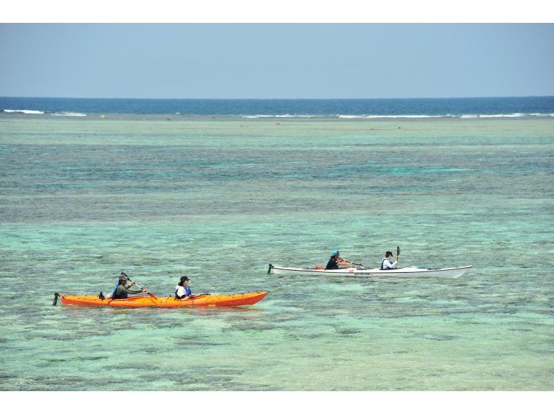 【沖縄・石垣島】サンゴの楽園 シーカヤック＆シュノーケリングのデイツアー ビーチでランチ付き！の紹介画像