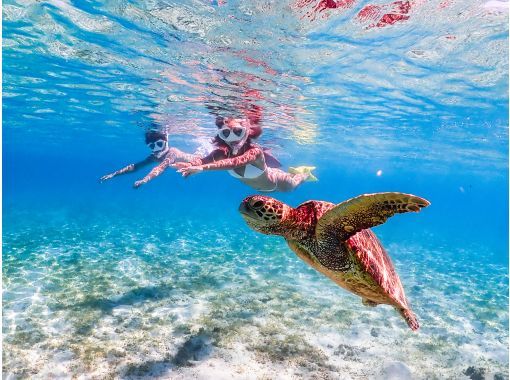【宮古島】ウミガメ遭遇率100%！フォトコンテスト金賞受賞★満足出来なかったら全額返金保証！全データプレゼントで最高な思い出間違いなし！の画像
