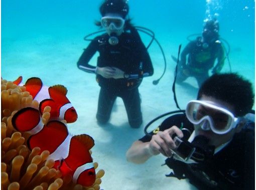 [经验深潜]帕纳里岛之旅（1天课程）の画像