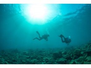 [Ehime / Ainan] Like a tropical country! "Experience Diving " surrounded by colorful fish and beautiful coralsの画像