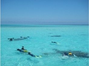 【沖縄・宮古島】八重干瀬で体験ダイビング(1ダイブ:シュノーケル付)の画像