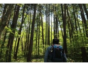 [Miyagi / Sendai] Green City Sendai: Morning hike & market brunchの画像