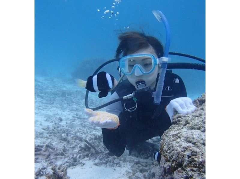 【沖縄・宮古島】ボートファンダイビング（2Dive）