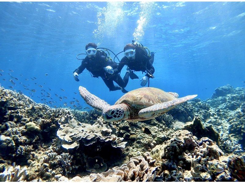 【北海道・SUP体験】透明度の高い支笏湖の湖面をクルージング！SUP体験（半日コース）の画像