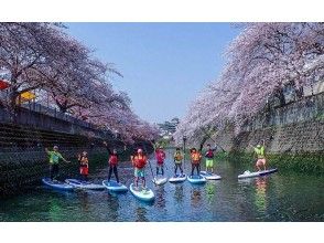 【横浜・みなとみらい】桜SUPツアー、お花見SUP（SUP経験者！）