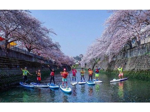 【横浜・みなとみらい】桜SUPツアー、お花見SUP（SUP経験者！）の画像