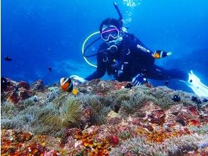 ダイブショップ宝島の割引プラン