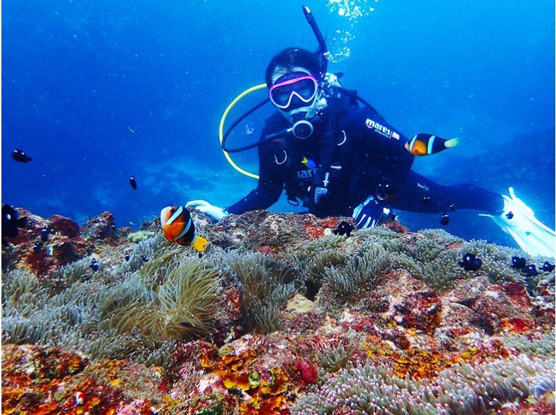 Izu Diving Image Takarajima Co., Ltd. Dive Shop Takarajima