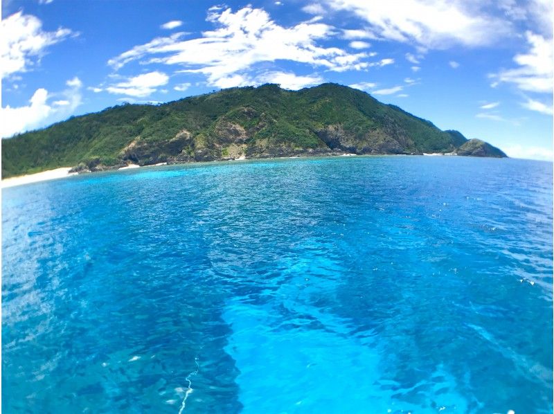 慶良間諸島のダイビングスポット