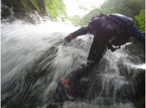 【滋賀】日本の滝百選！八ッ淵の滝（1日コース）シャワークライミング　9:00集合≪SC-1≫の画像