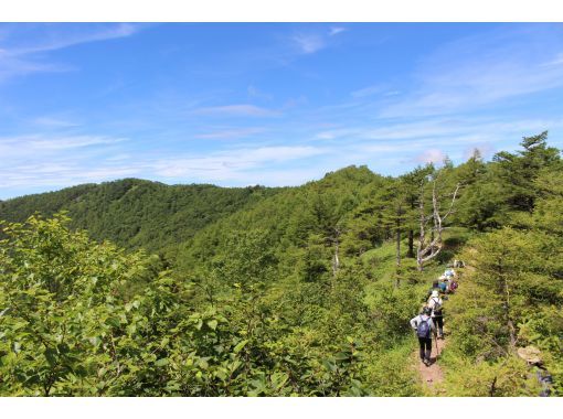 [ทาคามิเนะโคเก็นจังหวัดนากาโน่] เดินป่าบนภูเขาทาคามิเนะの画像
