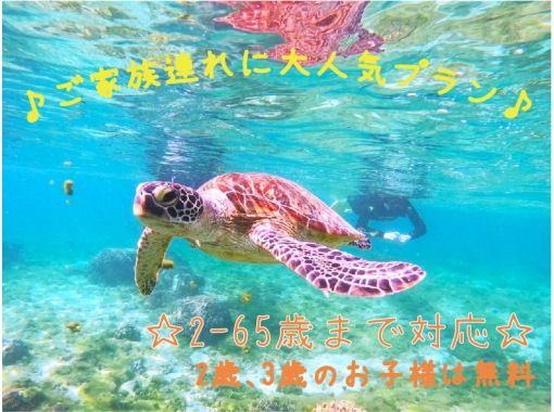 [Free for ages 2-3 ★ Near Naha ★ High chance of seeing sea turtles♪] ☆ Sea turtles & tropical fish tropical tour ☆ 30 minutes from Naha! Free photos & feeding ☆の画像