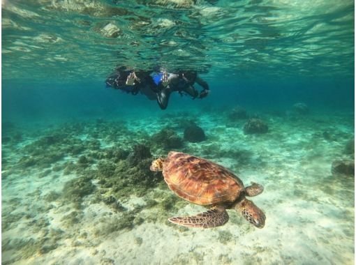 SALE! [★Itoman local meeting plan★] ☆High chance of encountering sea turtles & tropical fish☆40 minutes from Naha! Tropical tour! Free photos & videos☆の画像