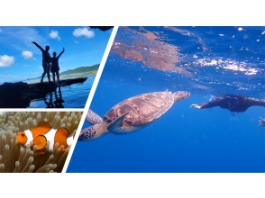 【石垣島 - Google 評價 ★4.9】找海龜！這項旅遊包括在青之洞窟浮潛並在神秘未開發的地區享受奇妙的體驗！