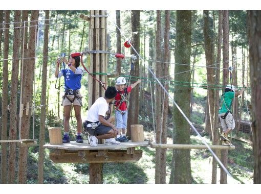 [Hyogo / Okukan Nabe] ★ Renewal OPEN ★ Canopy Course ★ Forest Adventure Okukan Nabe Canopy Courseの画像