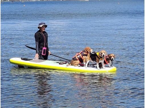 [Mt. Fuji / Lake Yamanaka] Beginners are welcome! SUP experience at Lake Yamanaka <60 minutes course> With children! Participation is OK from 10 years old! You can experience your dog together!の画像