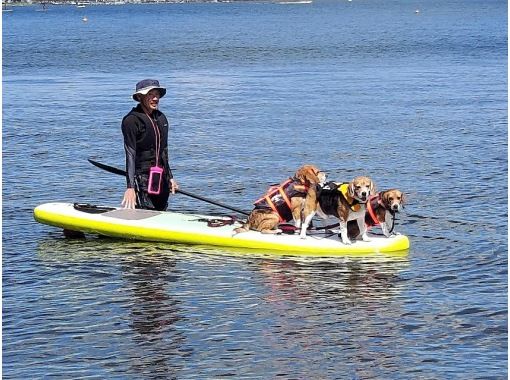 [Mt. Fuji / Lake Yamanaka] Beginners are welcome! SUP experience at Lake Yamanaka <60 minutes course> With children! Participation is OK from 10 years old! You can experience your dog together!の画像
