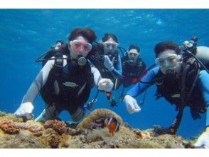 【沖縄本島・慶良間・チービシ】体験ダイビング 2ボートの画像