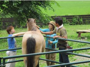 [Miyagi / Higashimatsushima] Umimachi-san Ranch Experience Program for adult Recommended for those who like animals and those who are interested in ranch life!の画像